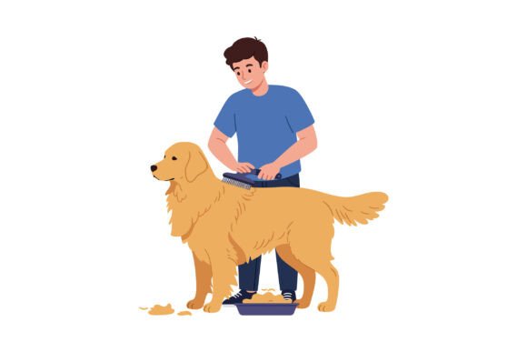 Man Grooming Golden Retriever Dog Brushing