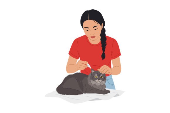 Young Woman Grooming Gray Cat with Comb: A Closer Look at the Art of Feline Care